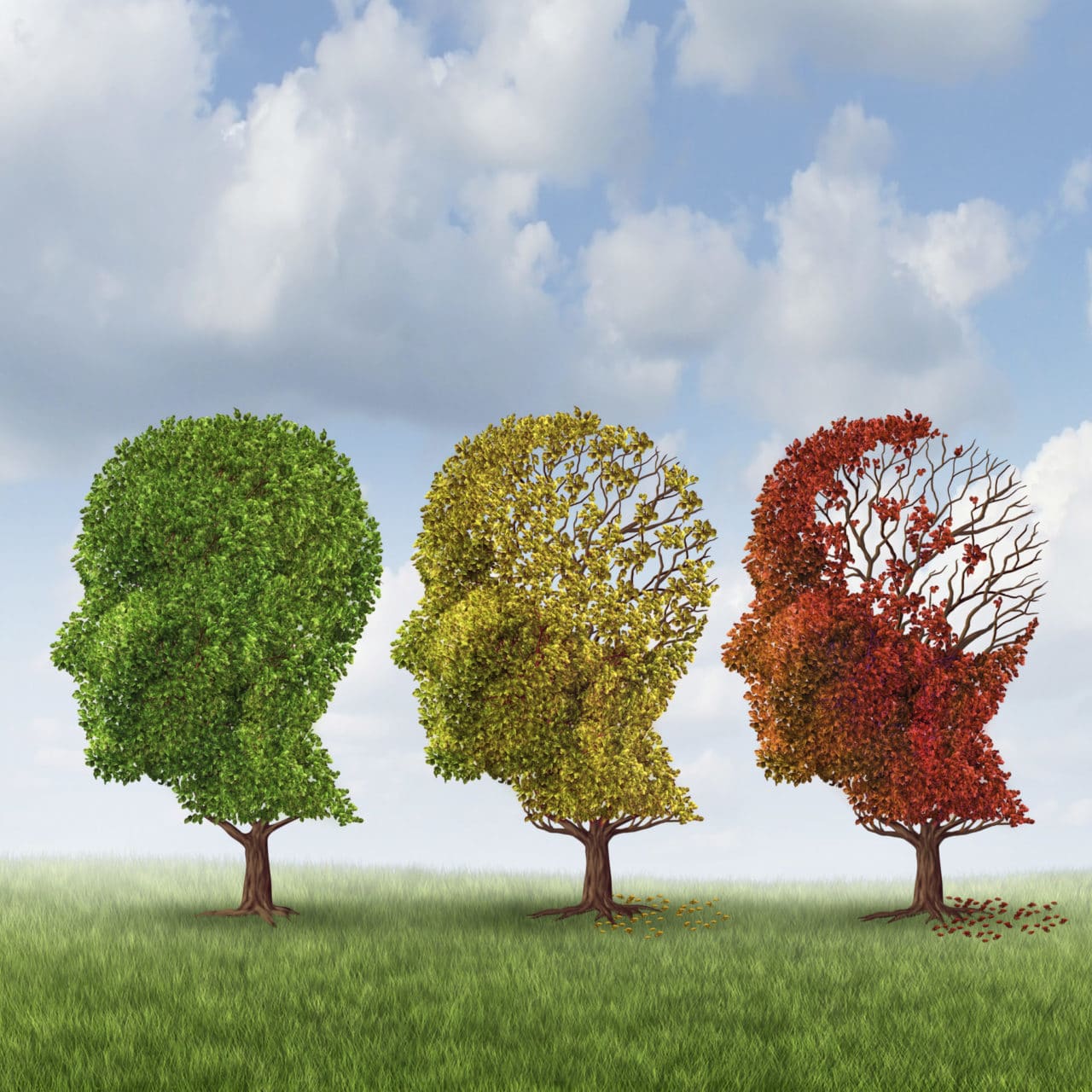 Graphic of three trees, each with branches in the shape of a human head in profile. The far left tree is green with full foliage, the center tree is yellow-green having lost some of its leaves from the back of the head, and the far right has red leaves mostly near the face.