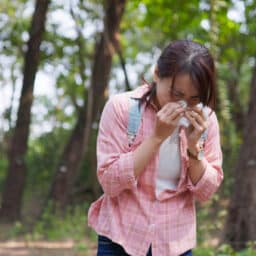 Woman hiker sneezes during forest walk suffering seasonal allergy symptoms while holding tissue outdoors